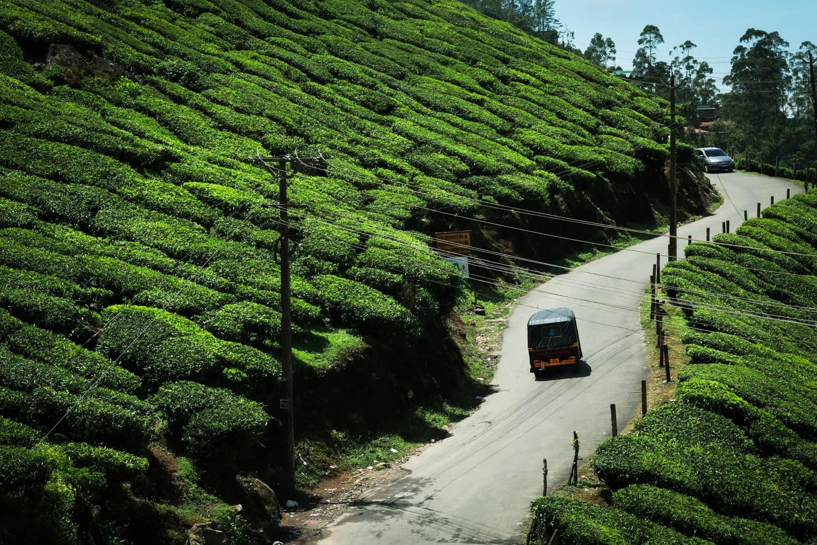 A road winding through the tea gardens of Munnar in the Kerala hills