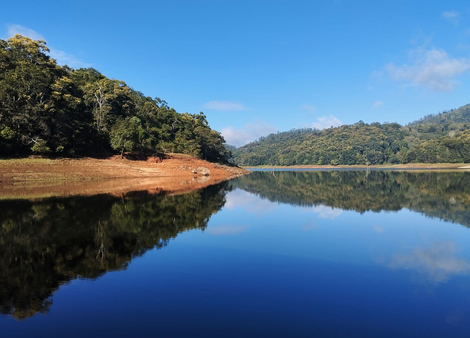 Forested hills reflected in the still water of Periyar Lake at Thekkady, Kerala