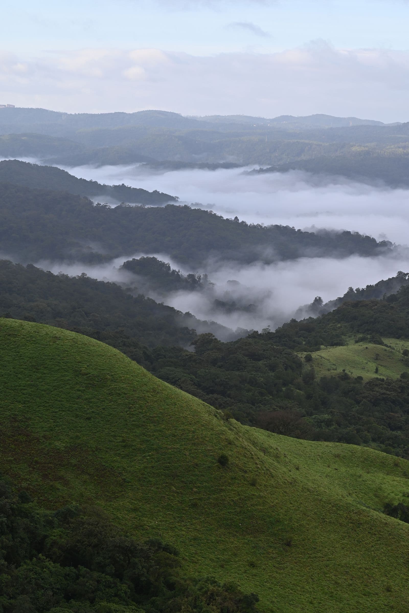 Aerial view of mist lying over forested hills at Madikeri in the Coorg district of Karnataka