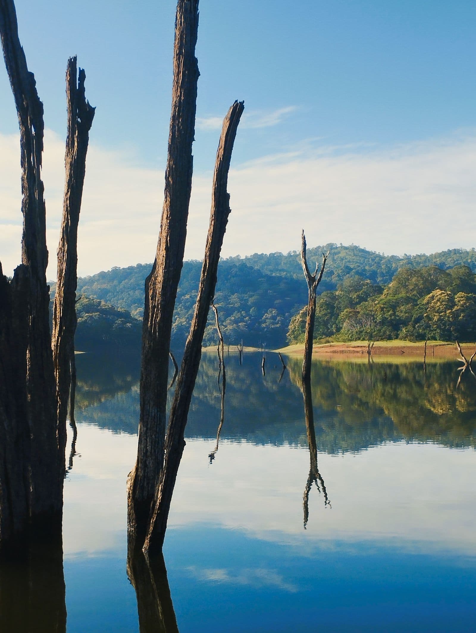 Still lake water framed by forested banks in the Periyar reserve, Thekkady