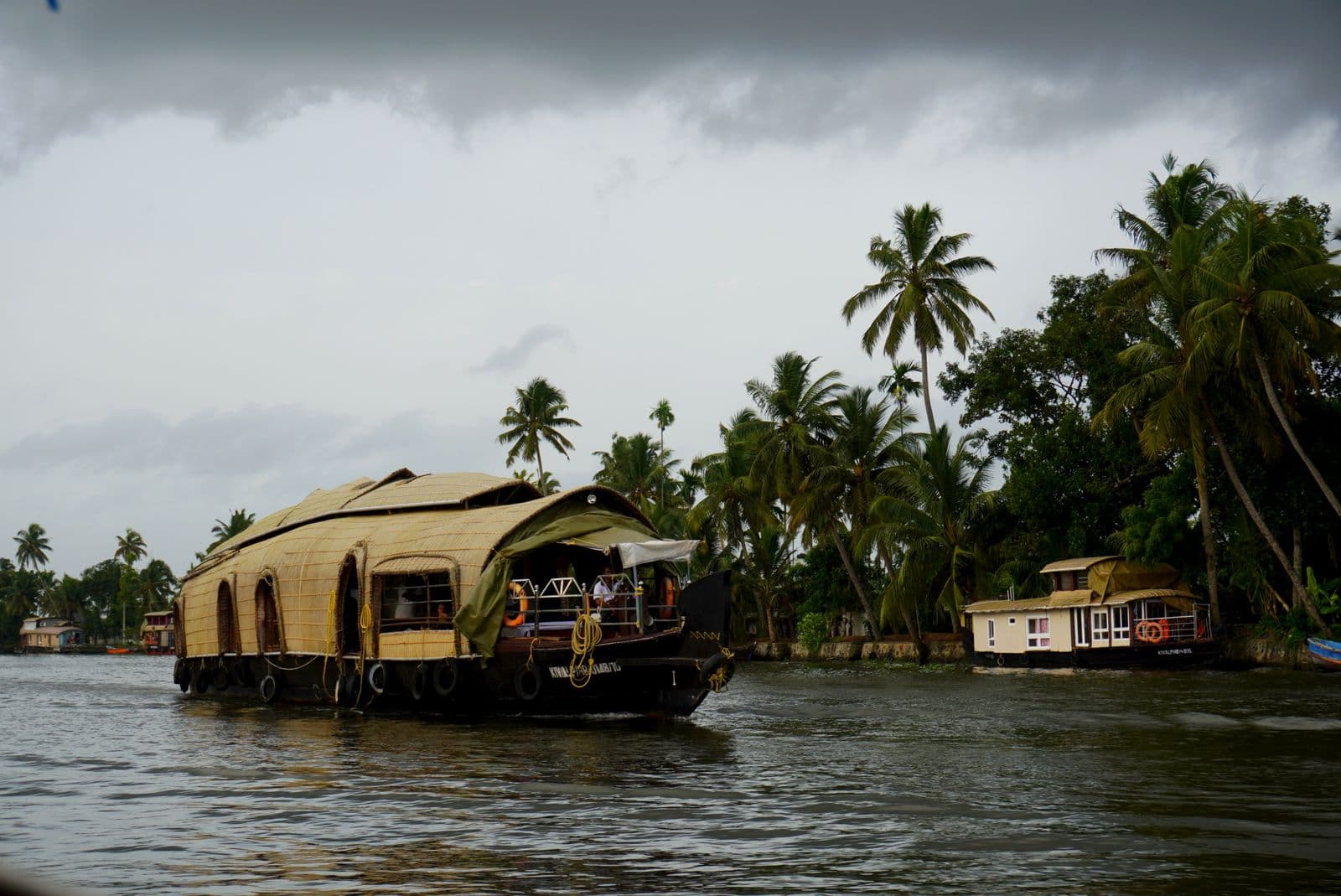 A passenger boat sailing on a wide tropical river lined with palms