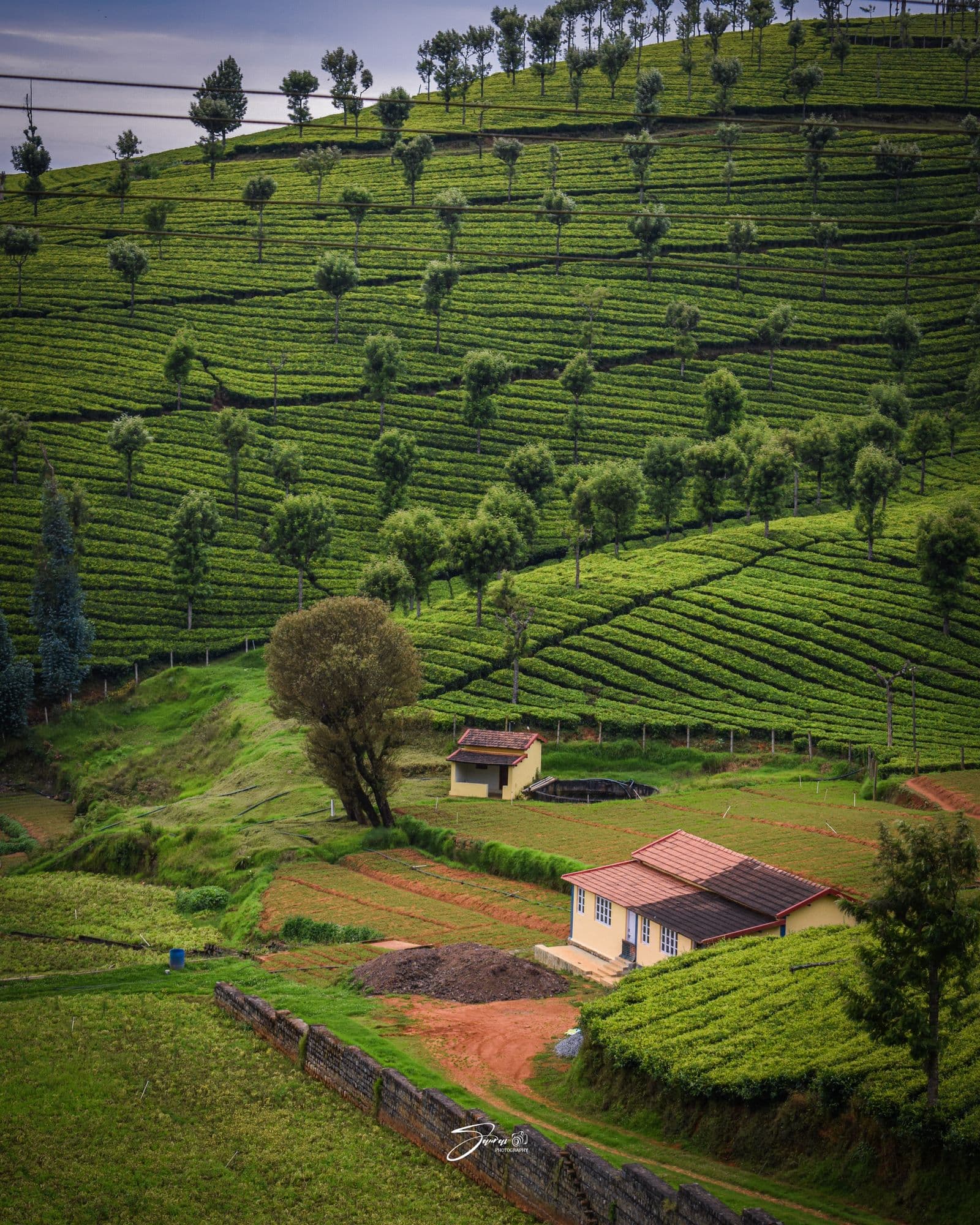 High angle view of a farmhouse surrounded by terraced green fields in the hills