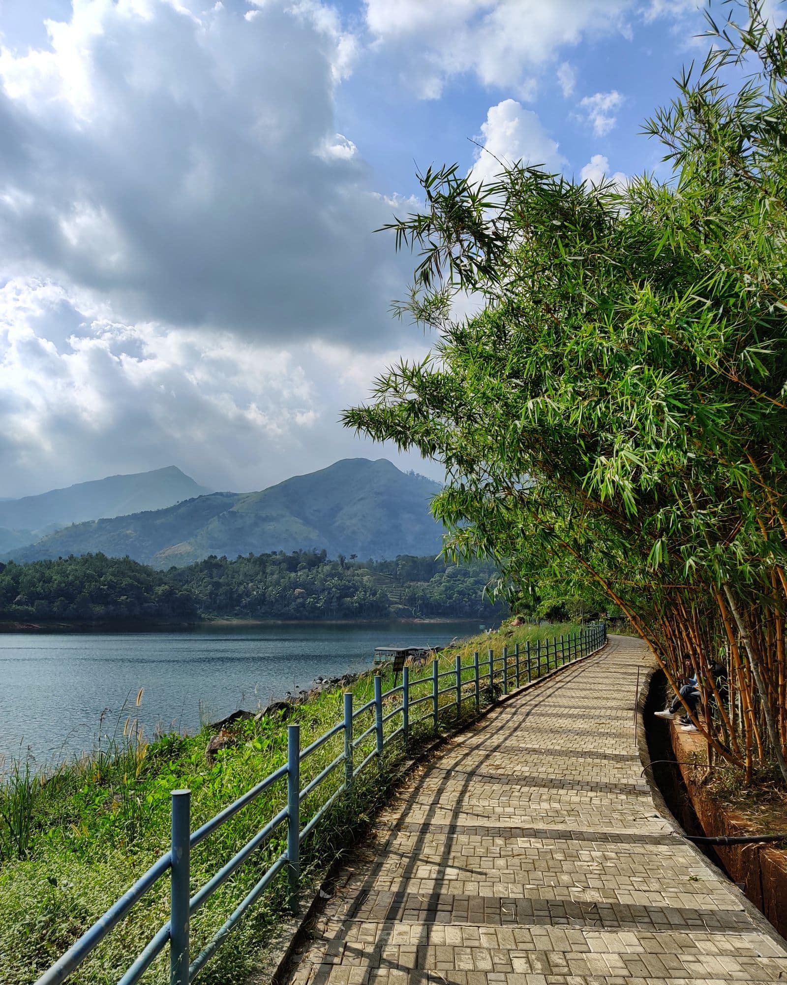A quiet bamboo-lined pathway running along the Padinjarathara dam in Wayanad